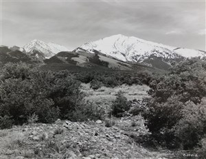 Image description is not available for 2007.003